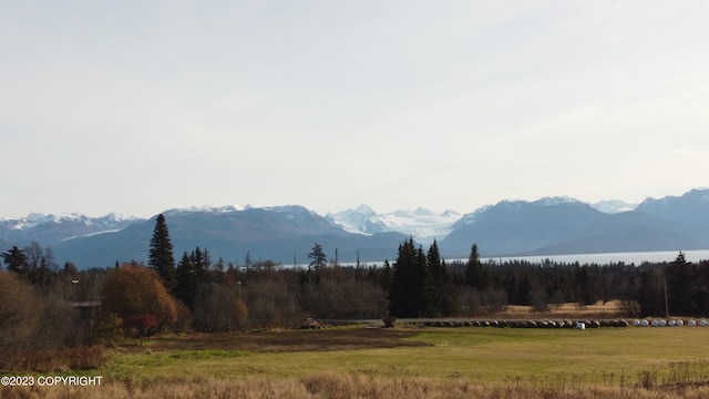 56911 Stormy Petrel Ct, Homer, AK 99603