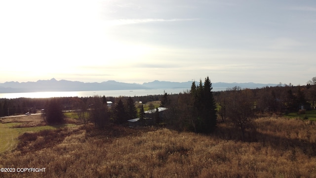 56911 Stormy Petrel Ct, Homer, AK 99603