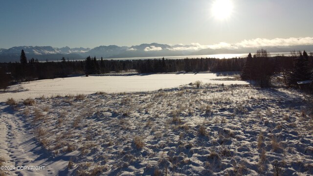 56911 Stormy Petrel Ct, Homer, AK 99603