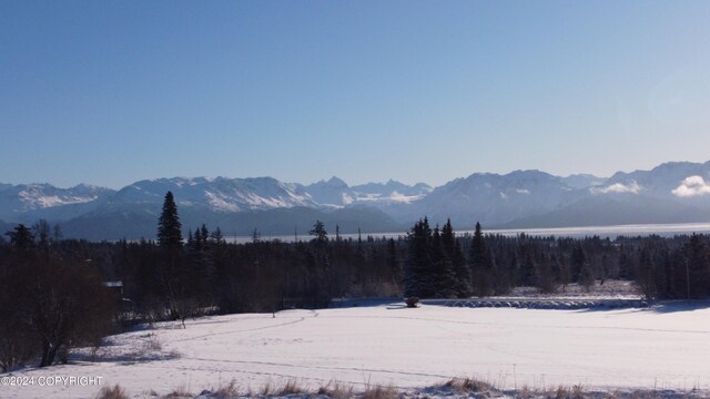 56911 Stormy Petrel Ct, Homer, AK 99603
