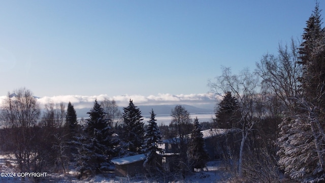 56911 Stormy Petrel Ct, Homer, AK 99603