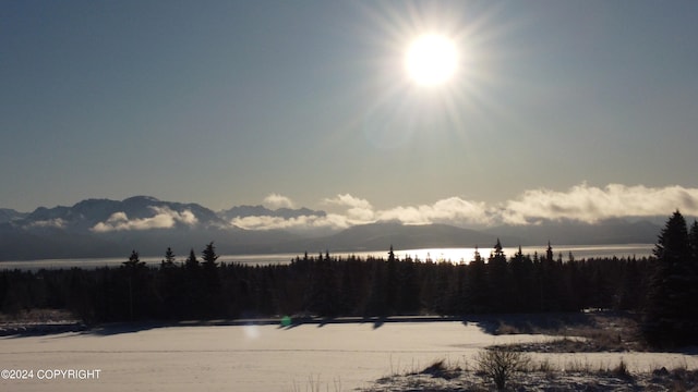 56911 Stormy Petrel Ct, Homer, AK 99603