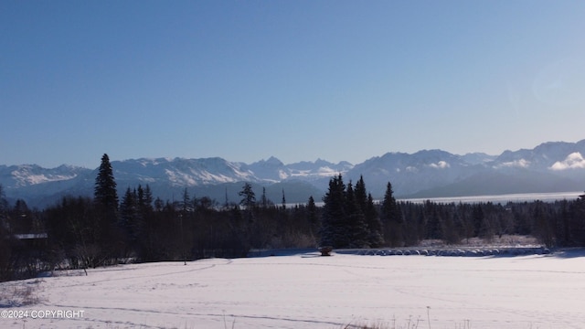56911 Stormy Petrel Ct, Homer, AK 99603