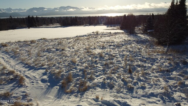56911 Stormy Petrel Ct, Homer, AK 99603