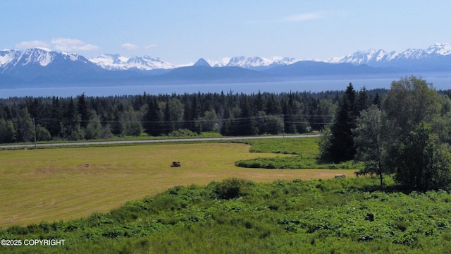 56911 Stormy Petrel Ct, Homer, AK 99603
