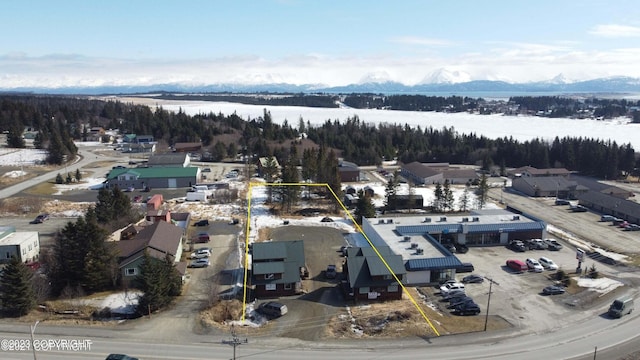 drone / aerial view with a mountain view