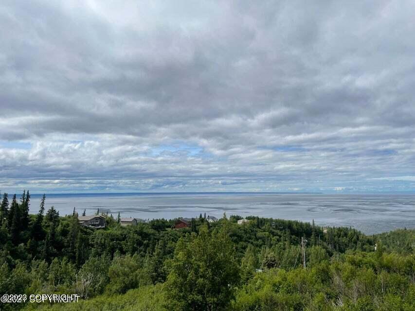 6130 Romania Dr, Anchorage, AK 99516 - photo 1