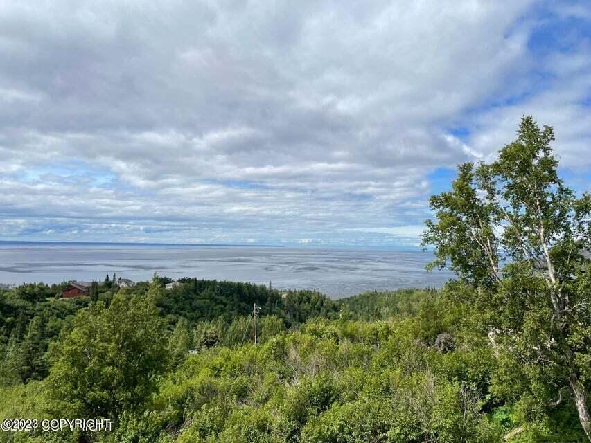 6130 Romania Dr, Anchorage, AK 99516 - photo 2