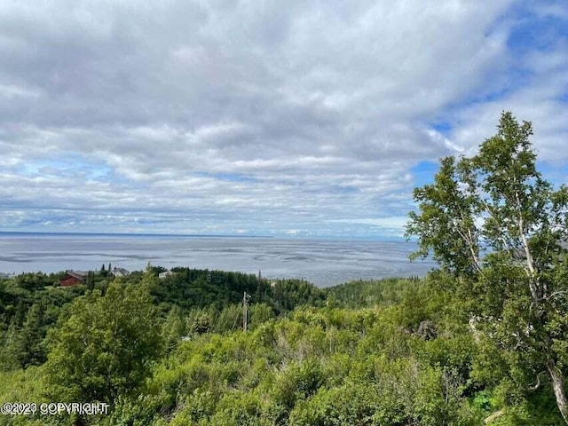 6130 Romania Dr, Anchorage, AK 99516 - photo 2
