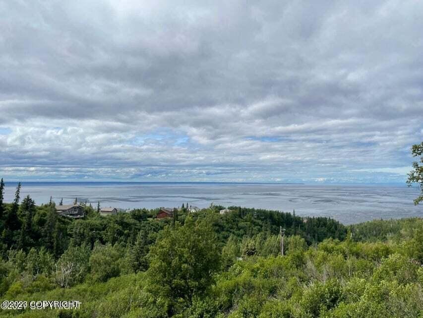 6130 Romania Dr, Anchorage, AK 99516 - photo 3