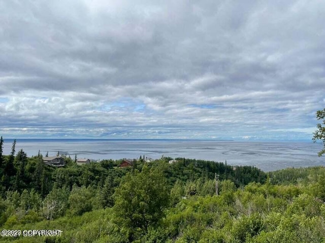 6130 Romania Dr, Anchorage, AK 99516 - photo 3