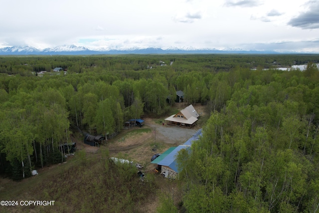 birds eye view of property with a mountain view