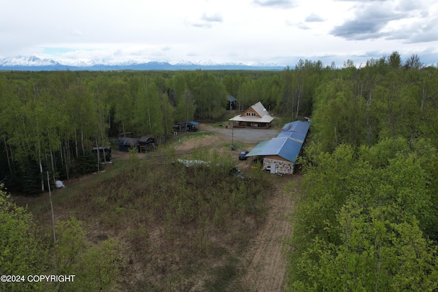 birds eye view of property featuring a mountain view