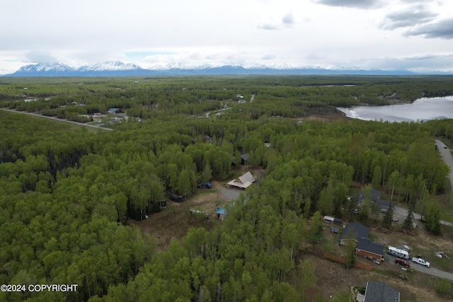 bird's eye view featuring a water and mountain view