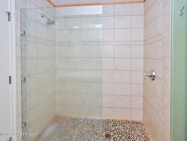 bathroom featuring an enclosed shower