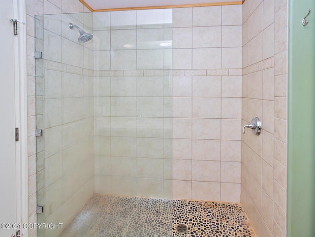 928 Quiet Creek Dr, Homer, AK 99603 - full bath featuring a stall shower