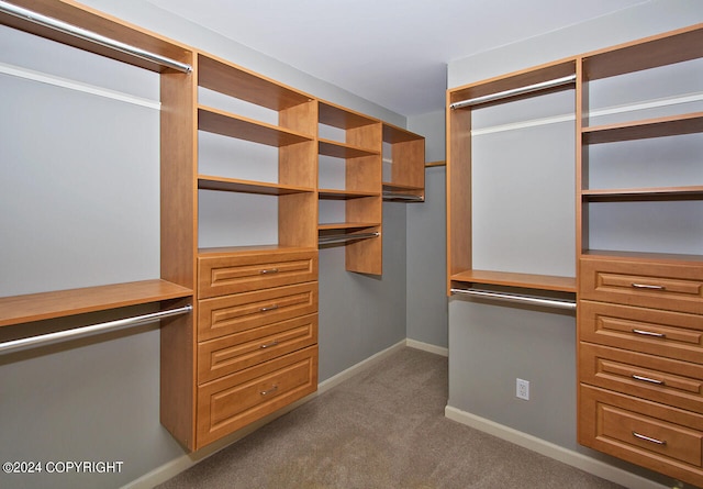 spacious closet featuring dark carpet