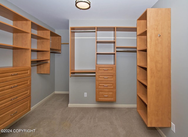 walk in closet featuring carpet