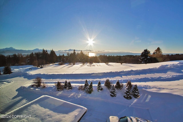 928 Quiet Creek Dr, Homer, AK 99603 - yard layered in snow featuring a mountain view