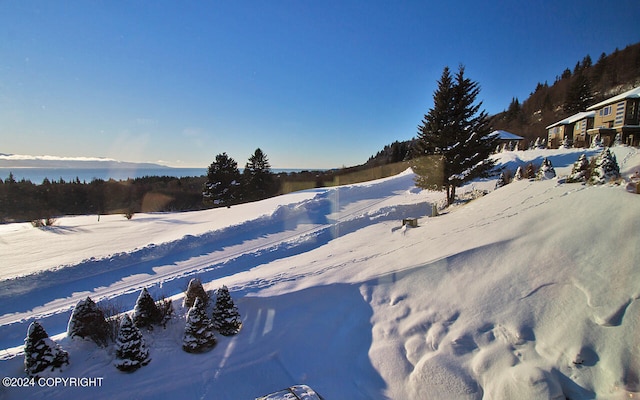 view of snowy yard