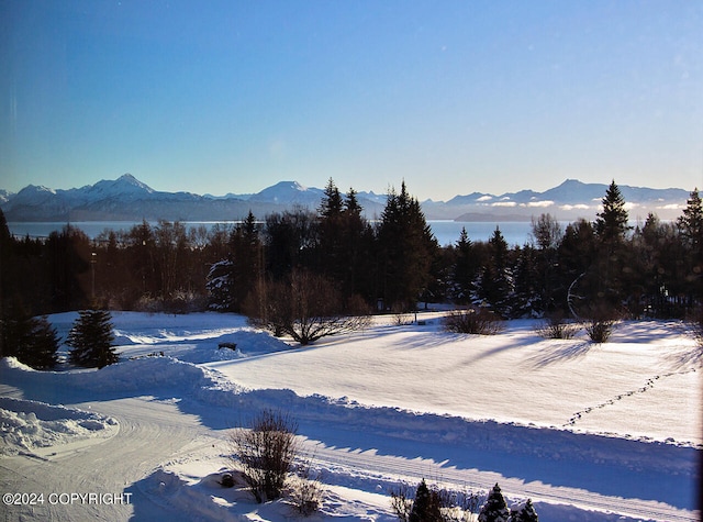 view of mountain feature