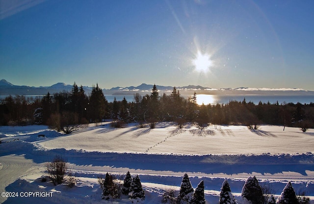 928 Quiet Creek Dr, Homer, AK 99603 - yard layered in snow with a mountain view