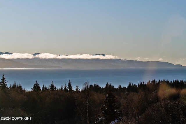 property view of water featuring a mountain view