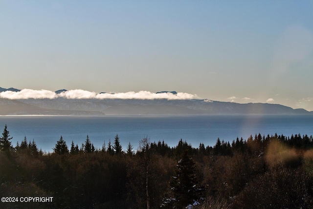 928 Quiet Creek Dr, Homer, AK 99603 - water view with mountains