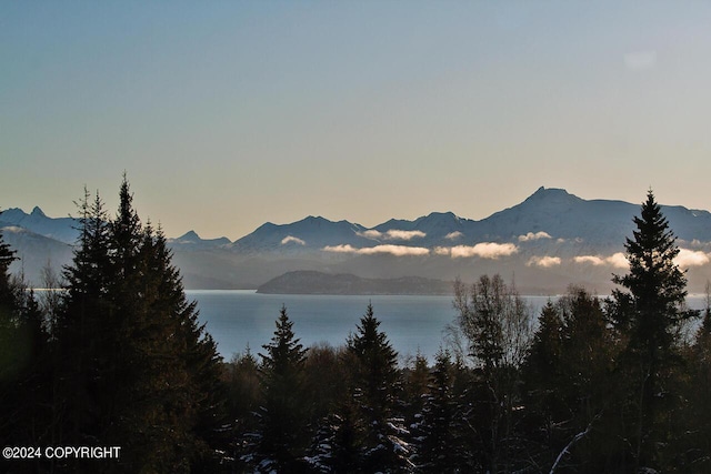 928 Quiet Creek Dr, Homer, AK 99603 - view of mountain background with a nearby body of water