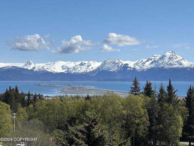 property view of mountains with a water view