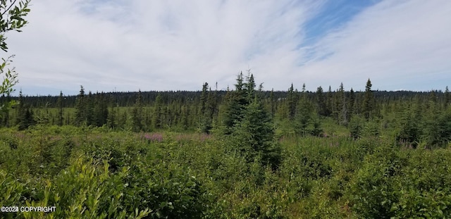 L7-A Rowen St, Anchor Point, AK 99556