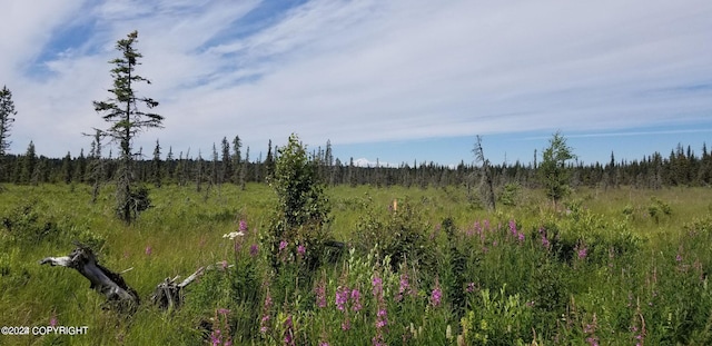 L7-A Rowen St, Anchor Point, AK 99556