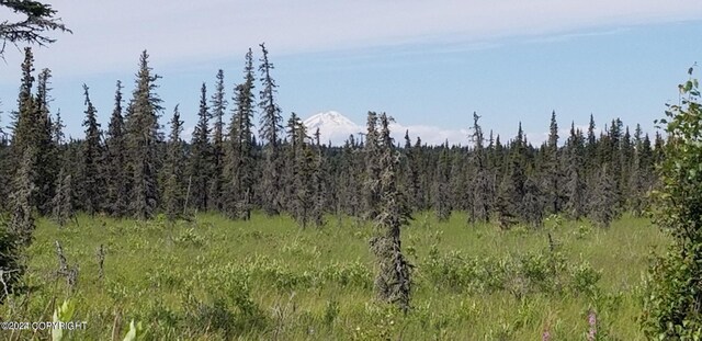 L7-A Rowen St, Anchor Point, AK 99556
