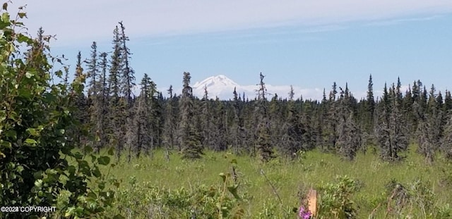 L7-A Rowen St, Anchor Point, AK 99556
