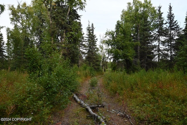 44606 Opal St, Nikiski/North Kenai, AK 99611