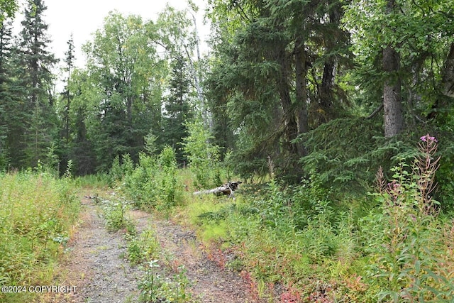 44606 Opal St, Nikiski/North Kenai, AK 99611