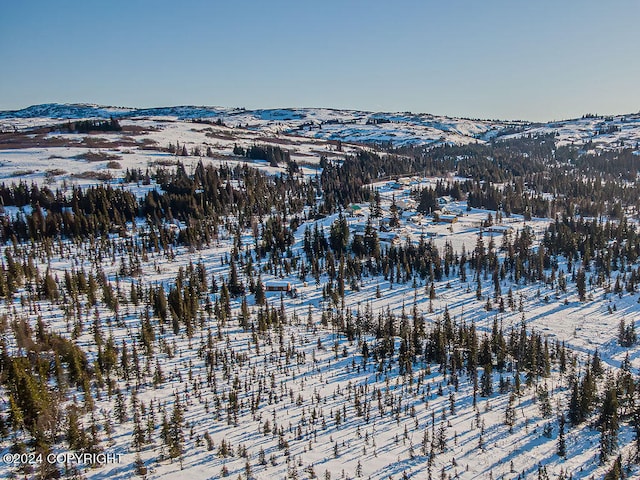 snowy aerial view with a mountain view