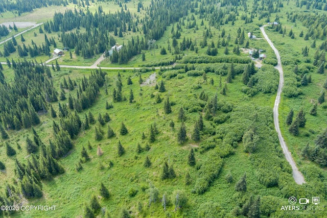 22512 Lowell St, Ninilchik AK, 99639 land for sale