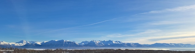 9450 Keshon Cir, Wasilla, AK 99654 - view of mountain backdrop