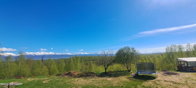 9450 Keshon Cir, Wasilla, AK 99654 - view of grassy yard featuring a trampoline