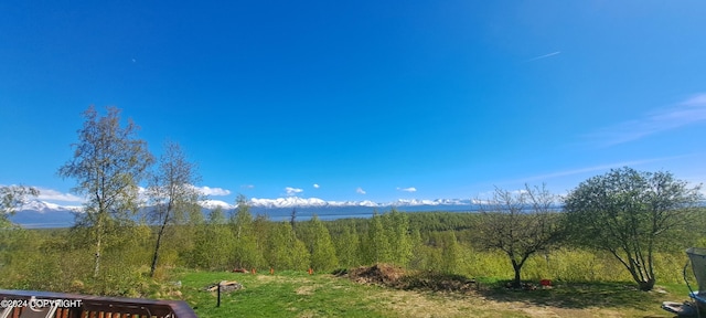 9450 Keshon Cir, Wasilla, AK 99654 - view of mountain background