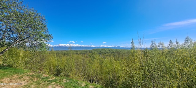 9450 Keshon Cir, Wasilla, AK 99654 - view of mountain background with a heavily wooded area