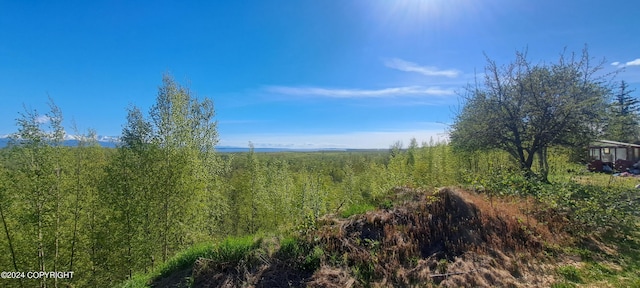 9450 Keshon Cir, Wasilla, AK 99654 - view of undeveloped land