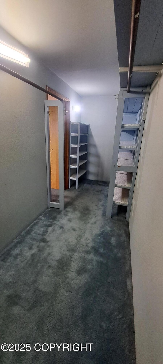 9450 Keshon Cir, Wasilla, AK 99654 - basement featuring dark colored carpet