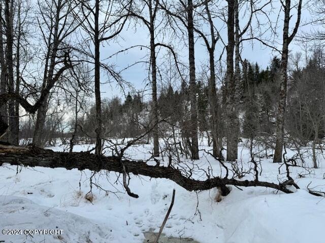 view of snowy landscape