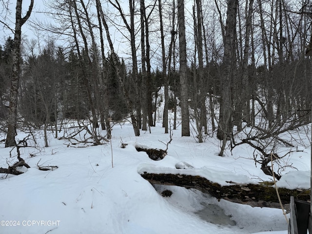 view of snowy landscape