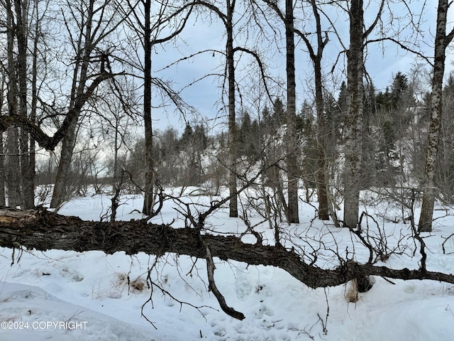 view of snowy landscape