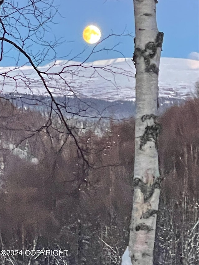 view of mountain feature