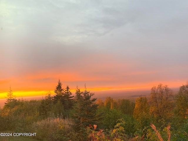 view of nature at dusk