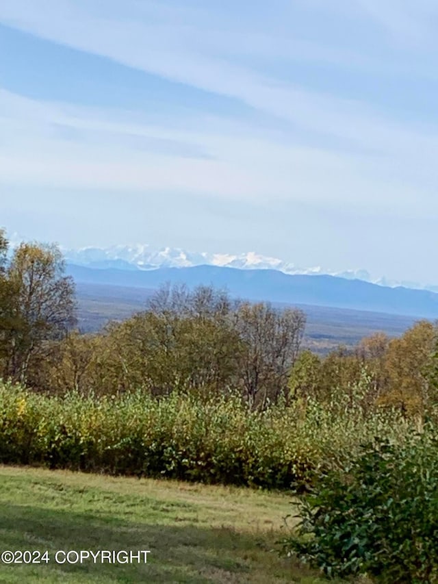 view of mountain view